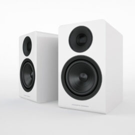 ACOUSTIC ENERGY AE300 WHITE