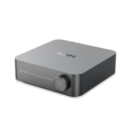 Wiim Amp