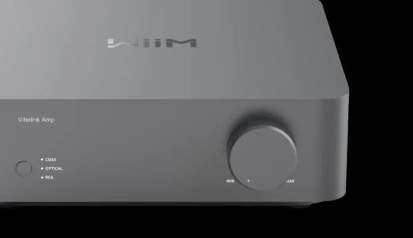 design1-BPkOERjN Vibelink Amp