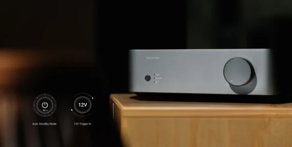 performance-DUibMe_b Vibelink Amp