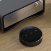 WiiM Mini